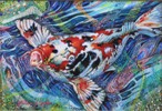 Roi the Psychedelic Koi